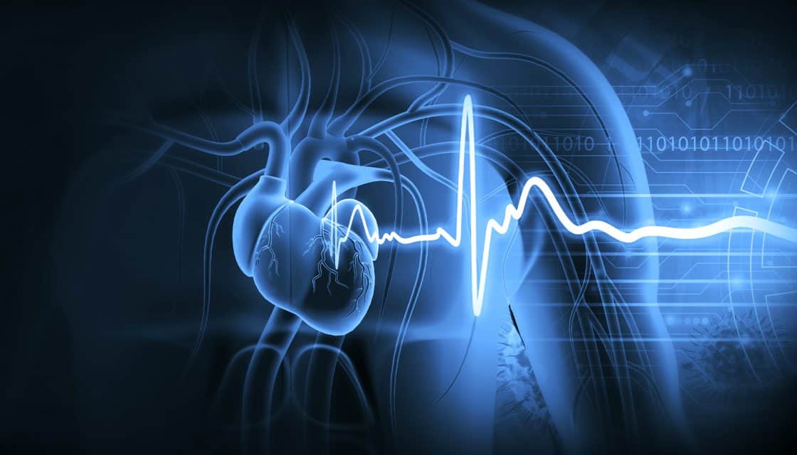 ECG Anomaly Detection using Autoencoders